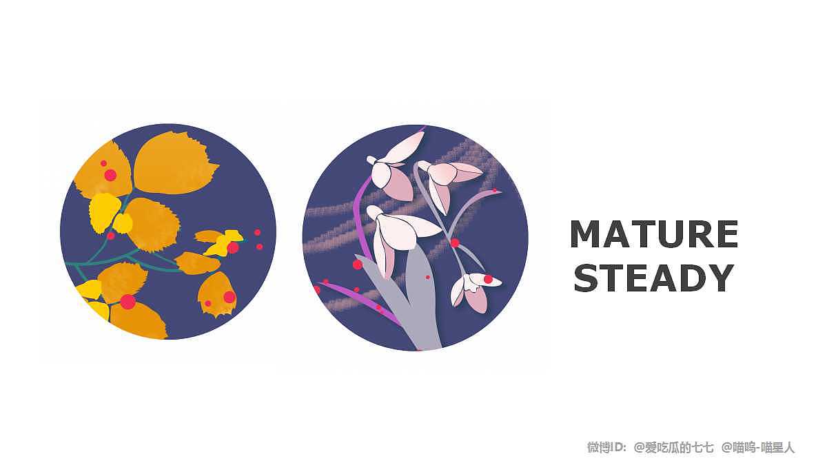 《生息》基于喜马拉雅元素进行的平面设计（一）（图ZMTAyNjk4ODIw） - 品牌 - 站酷设计师喵了个日狗原创素材 - 站酷ZCOOL