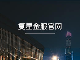 金服官网项目总结