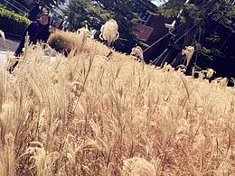 又是一年冬風(fēng)遇