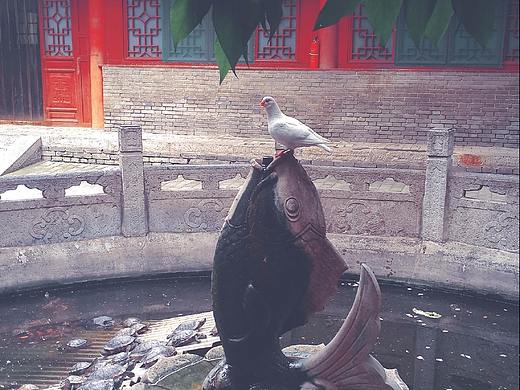 西安 · 大兴善寺