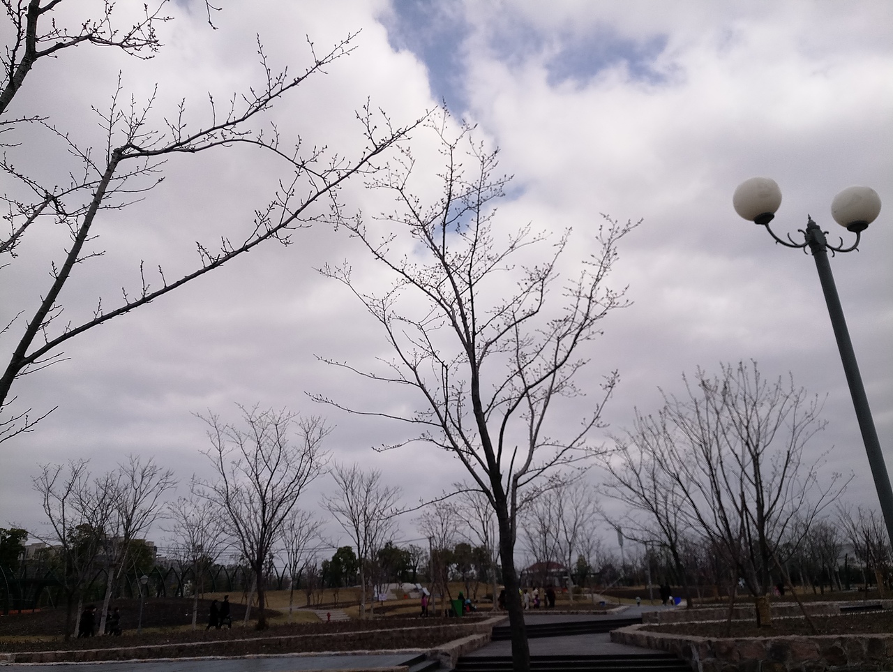 春之密影（图ZMTA4MjU4MTIw） - 产品摄影 - 站酷设计师珍丫头原创素材 - 站酷ZCOOL