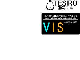 通灵珠宝 VI手册