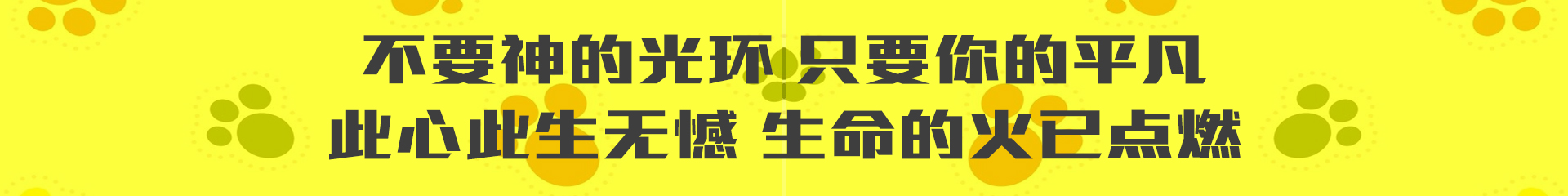 韩大大大大的个人主页（封面预览） - 主页封面设置 - 站酷设计师韩大大大大原创素材 - 站酷ZCOOL