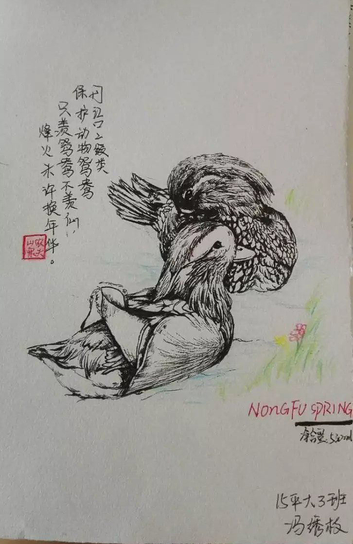 学校包装设计作业（图ZMTI1ODM2MzM2） - 宣传物料 - 站酷设计师xiu吱吱原创素材 - 站酷ZCOOL