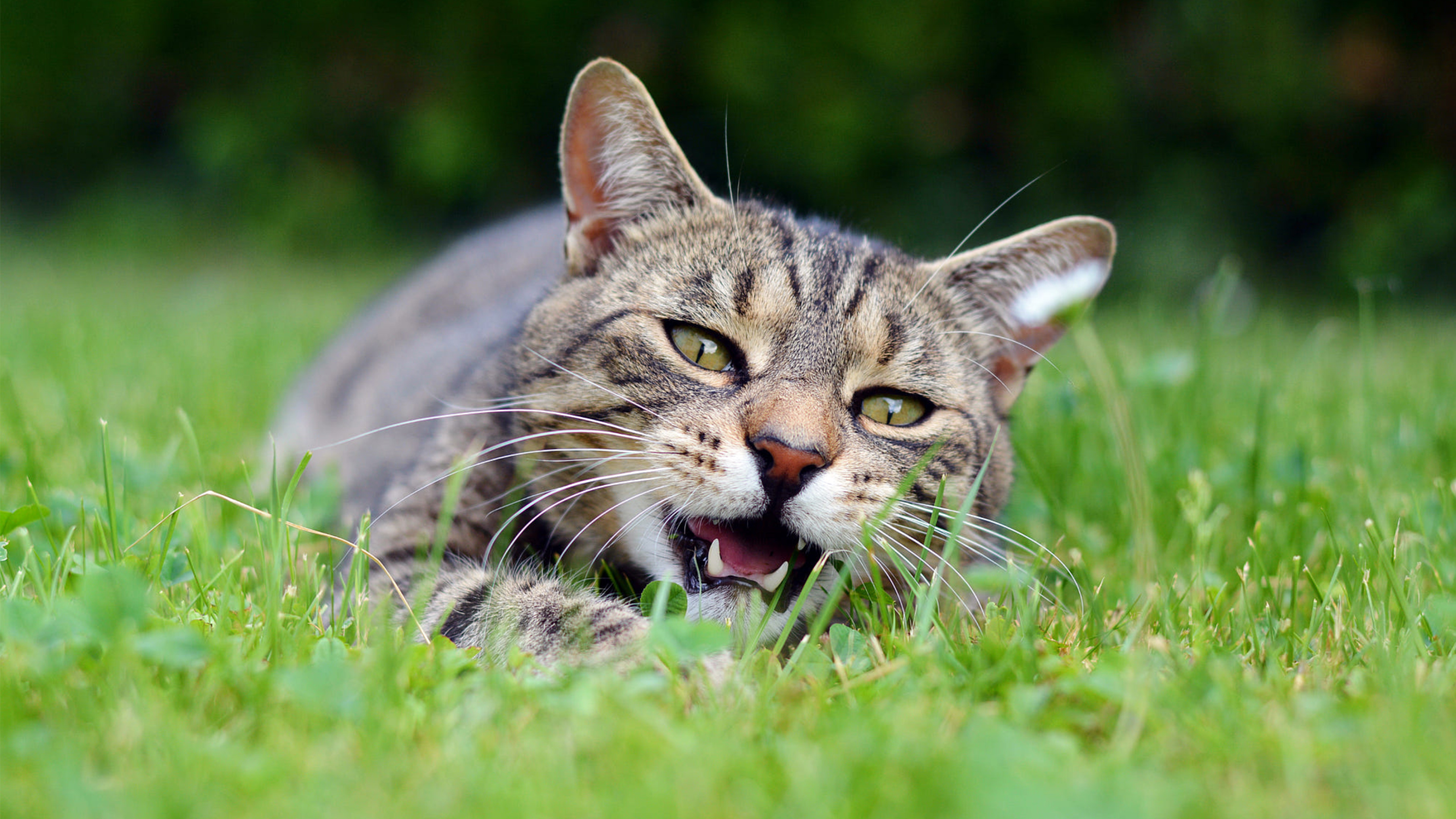 Hebz姣的个人主页（封面预览） - 主页封面设置 - 站酷设计师Hebz姣原创素材 - 站酷ZCOOL