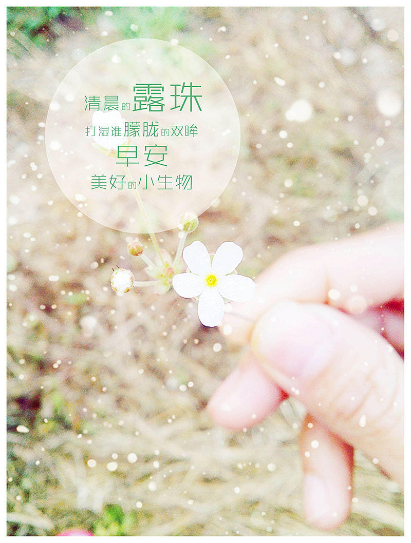 被梦唤醒 唯美壁纸（附件压缩包）（图ZMTQ3NTA0Mjg=） - 风光摄影 - 站酷设计师段浪原创素材 - 站酷ZCOOL