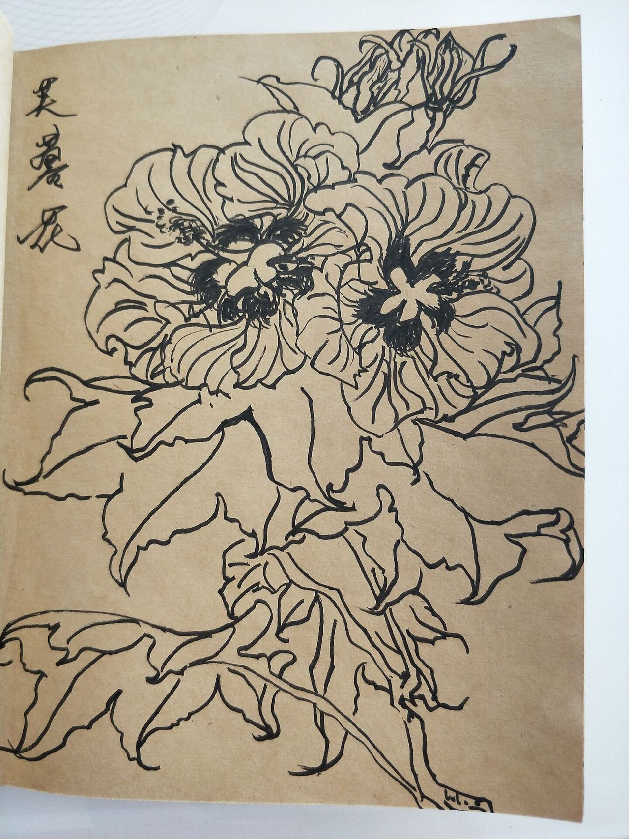 线描手绘
