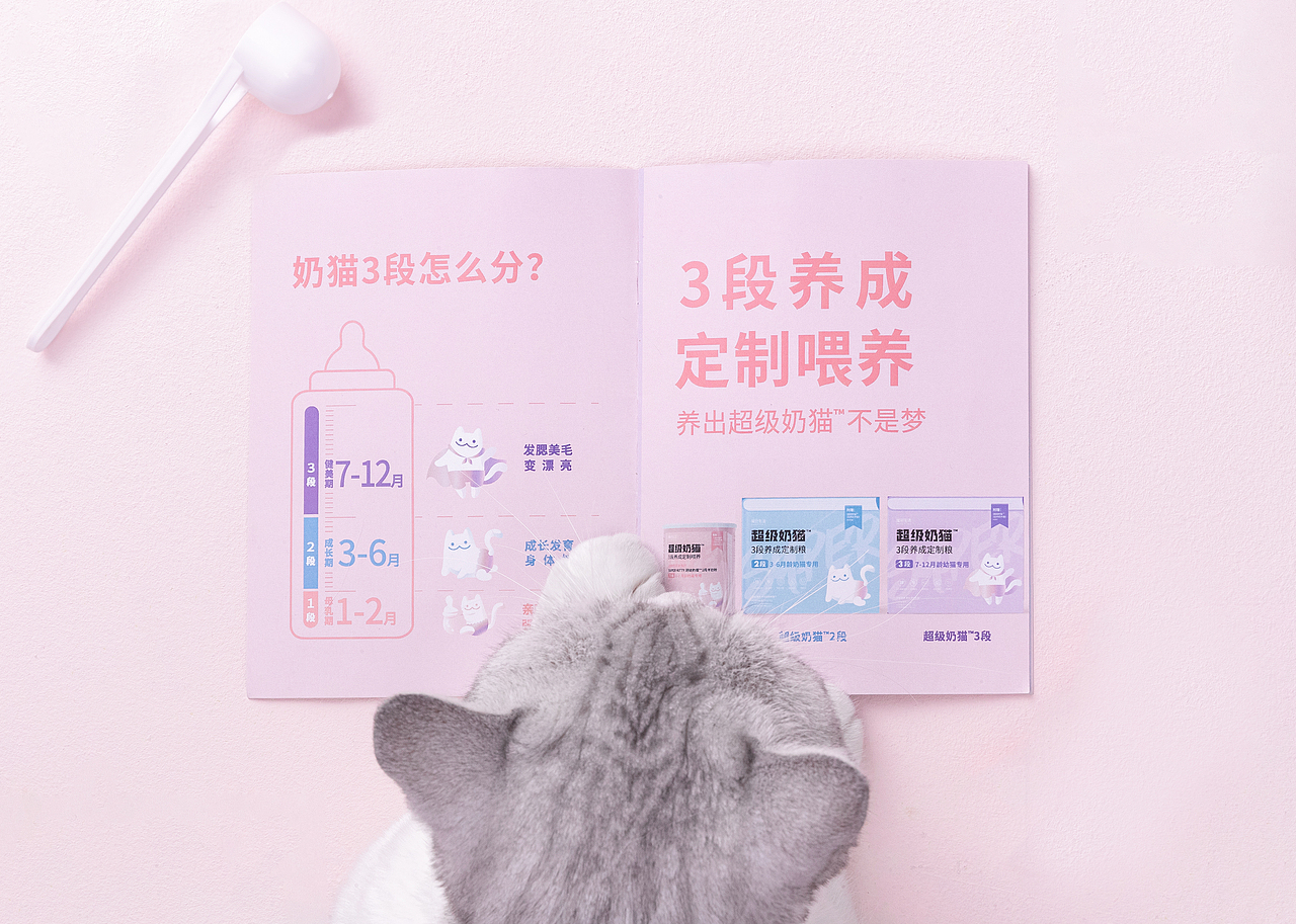 超级奶猫 | 猫粮拍摄（图ZMTc3MDMzNjcy） - 宠物摄影 - 站酷设计师Kaspa原创素材 - 站酷ZCOOL