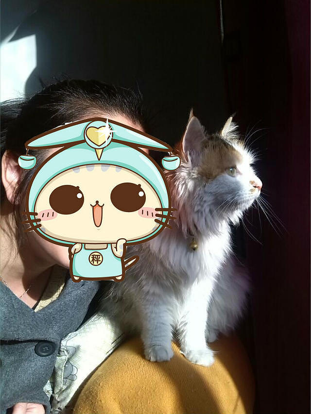 据说太阳出来就要起床了