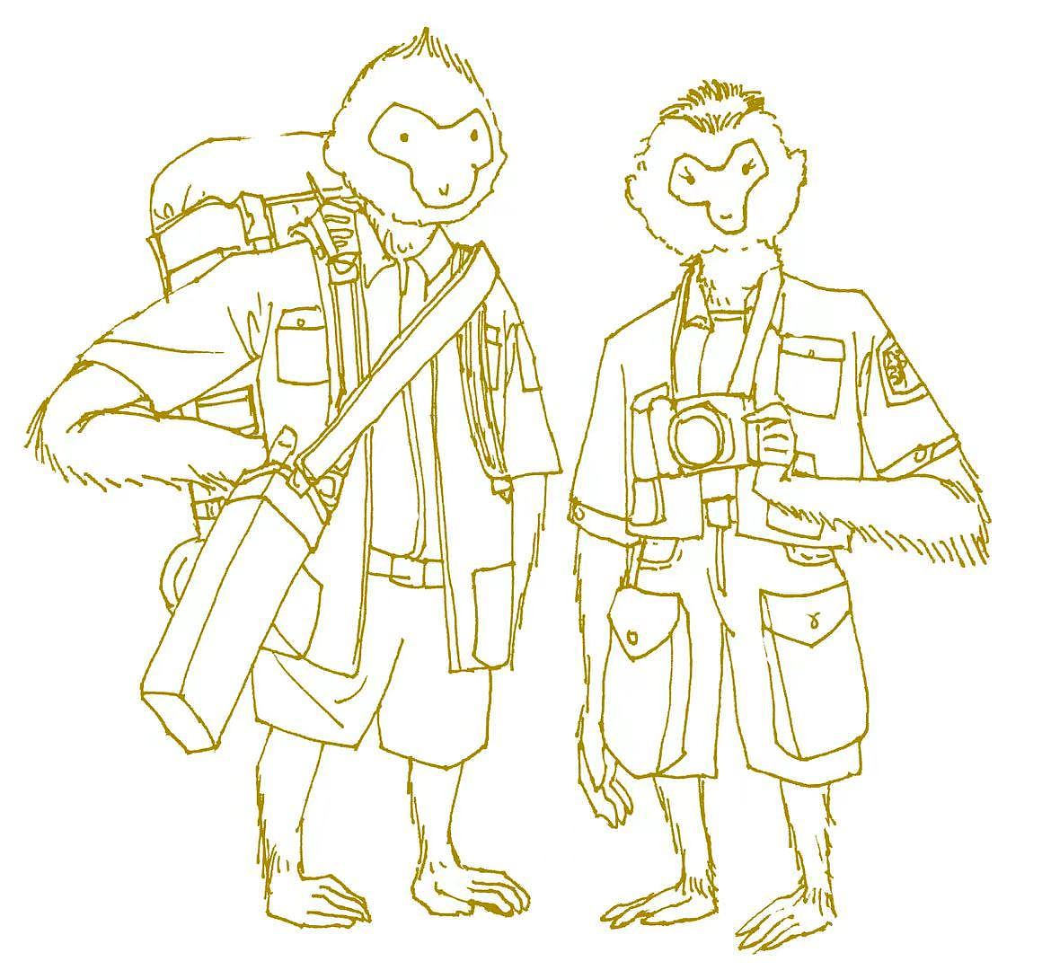 海南长臂猿ip形象设计比赛稿