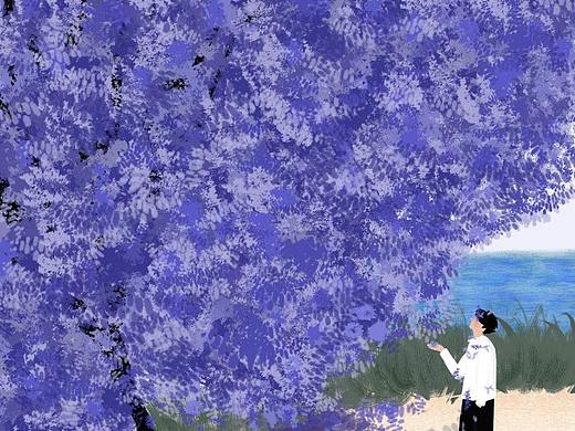 蓝花楹树