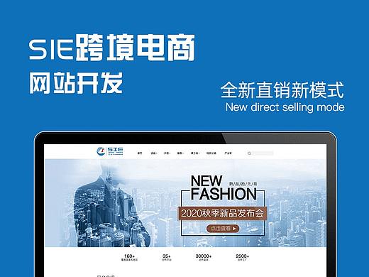 SIE跨境电商网站建设项目