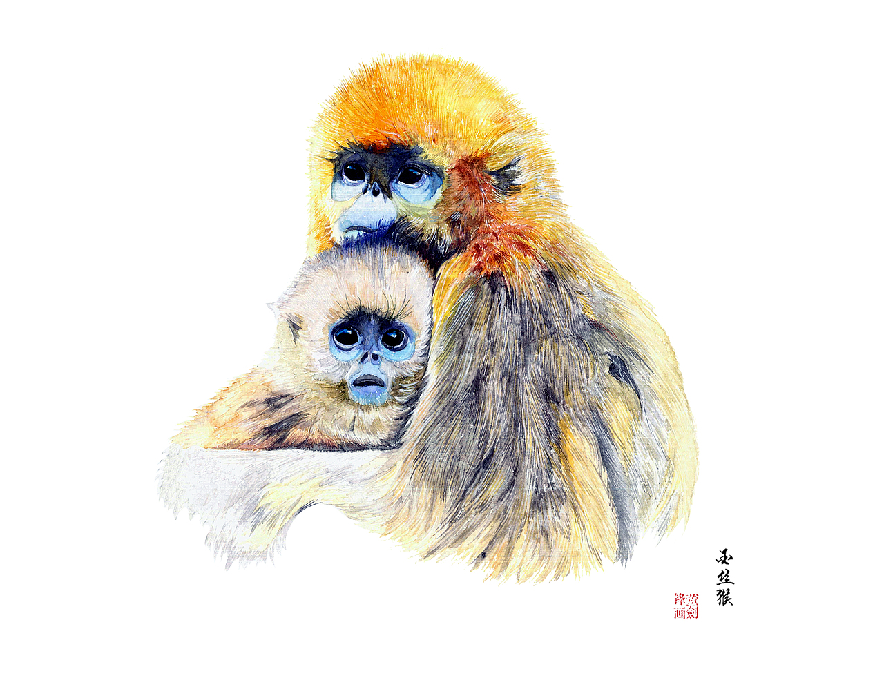 毕业设计-《动植物插画设计》＃青春答卷2017＃（图ZODE5OTIxNjg=） - 绘画 - 站酷设计师AaFengF原创素材 - 站酷ZCOOL