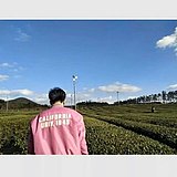 即将有人鱼线的头像