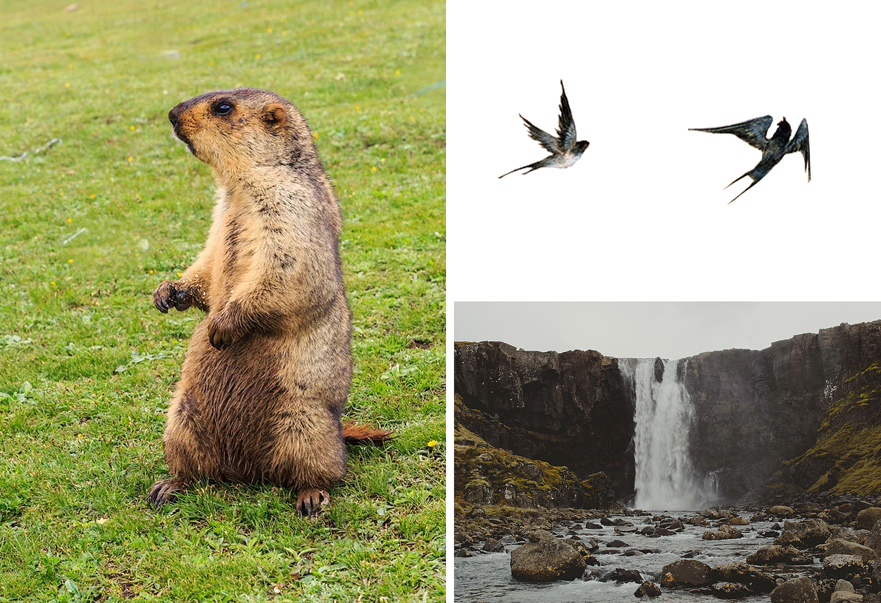 创意KV海报合成（图ZMTcyMDYxMzQw） - 海报 - 站酷设计师会设计的阴阳师原创素材 - 站酷ZCOOL