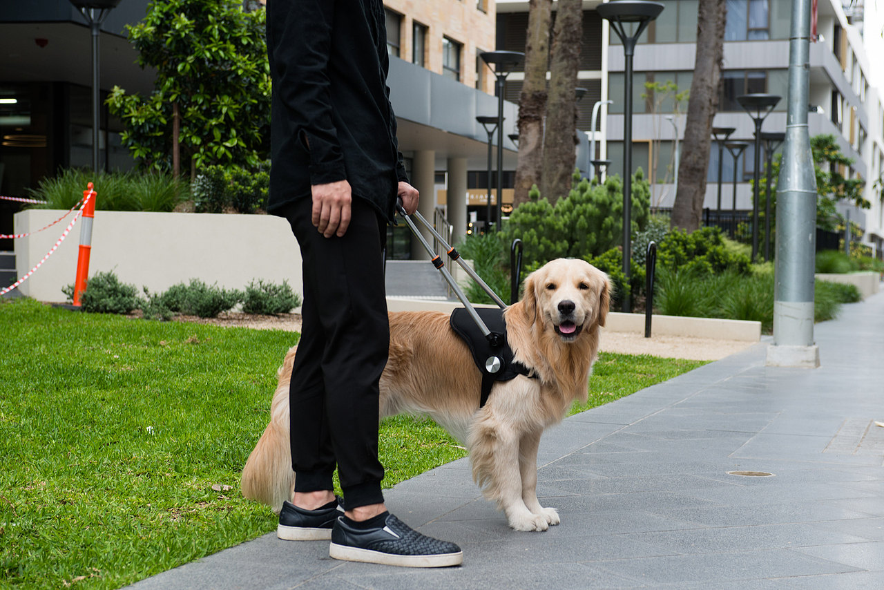 Vision 导盲鞍（图ZMTg3NzkxMTc2） - 生活用品 - 站酷设计师SavagePcd原创素材 - 站酷ZCOOL