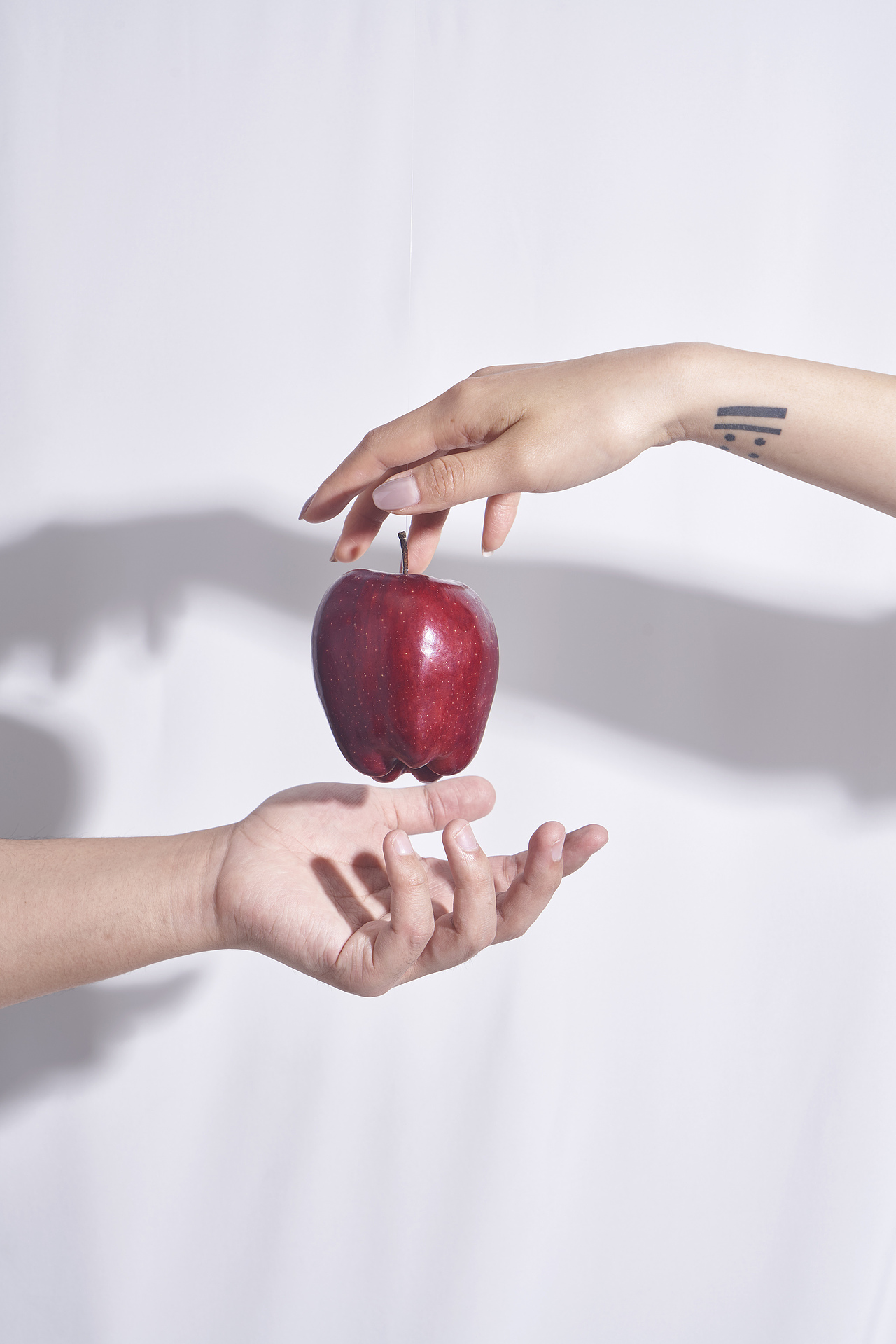 VENUS MARBLE 伊甸园系列彩妆