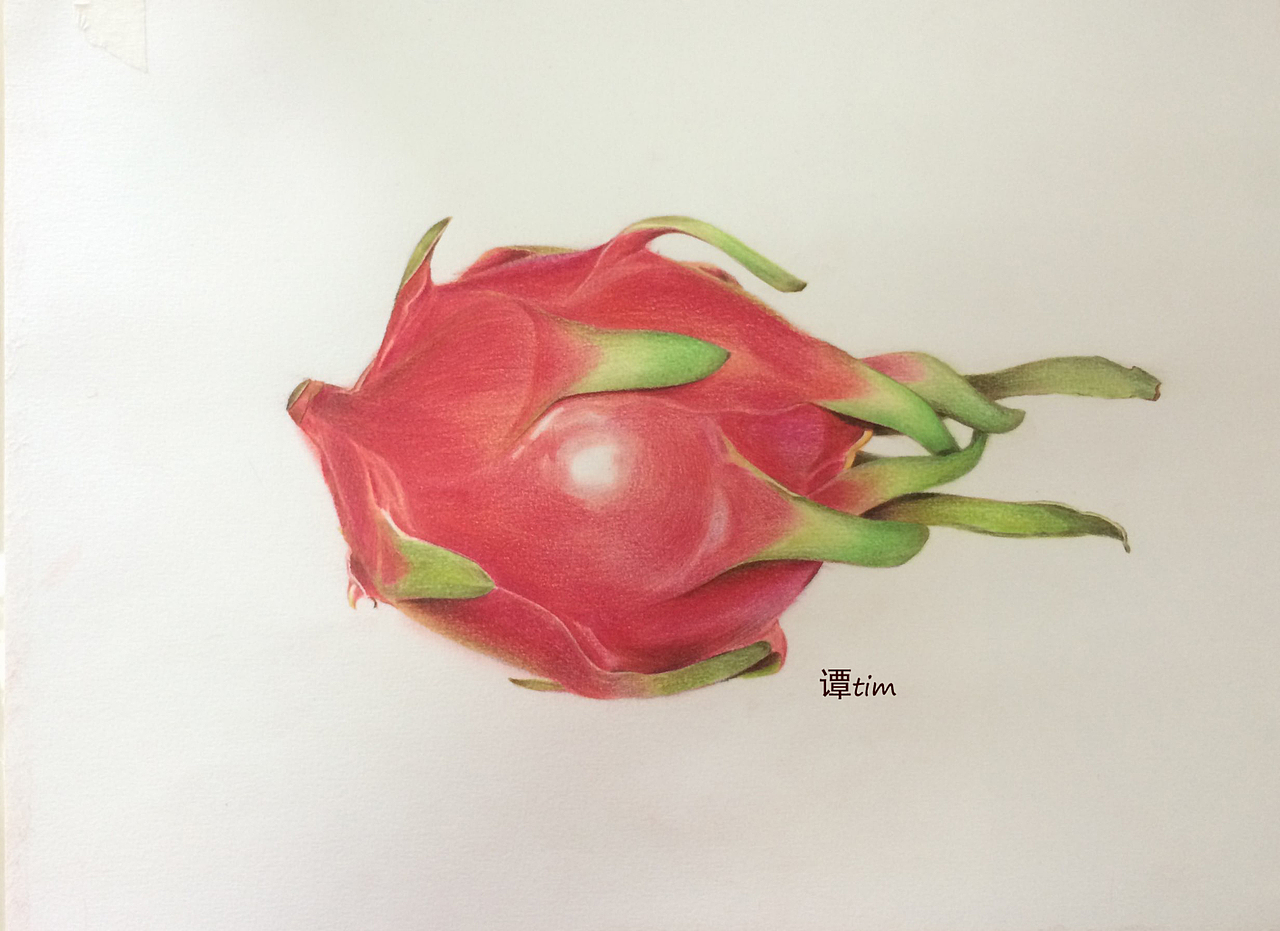 彩铅水果(火龙果)