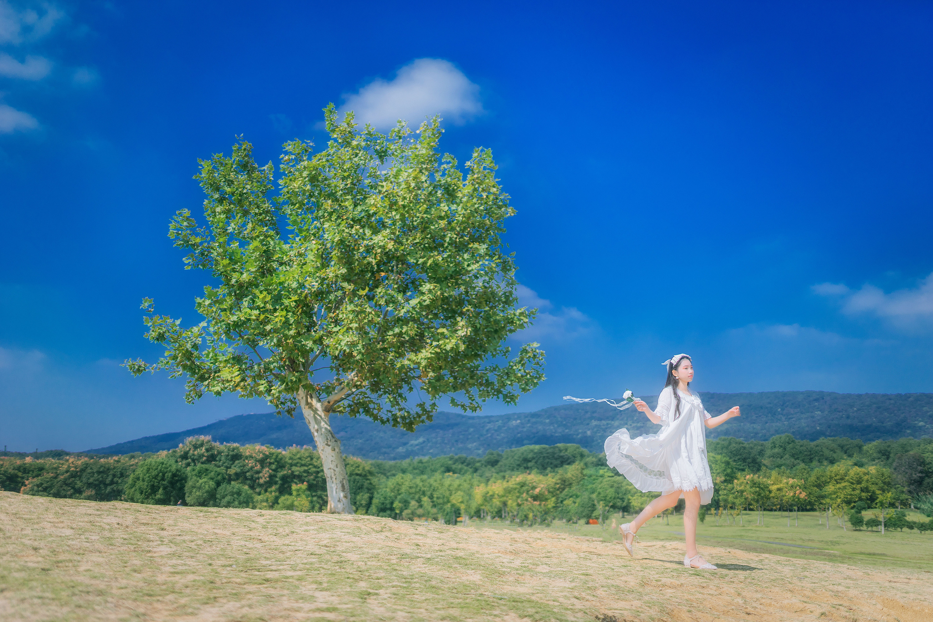 【沓痕】一棵树,中山体育公园,lolita蔷薇葬礼|摄影|人像摄影|小羽zz7