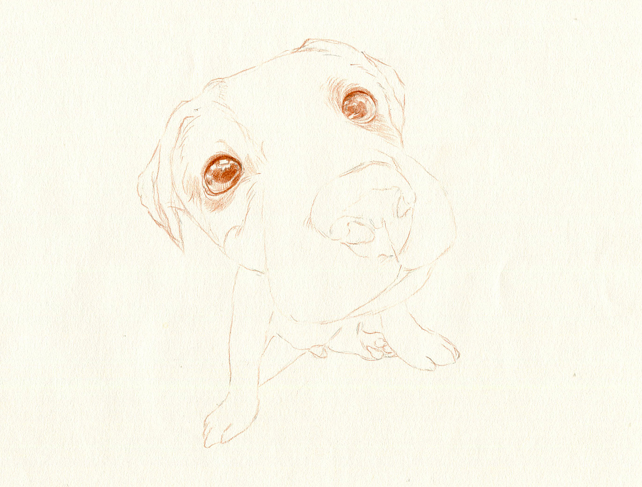 彩铅狗狗——杰克罗素梗犬（图ZMzU5NDk5OTI=） - 绘画 - 站酷设计师箐莜菲菲原创素材 - 站酷ZCOOL