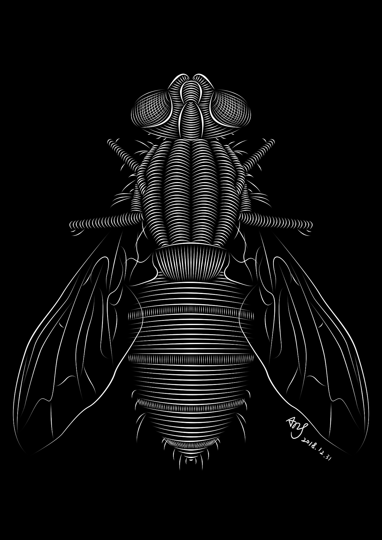 手绘练习 x 每日一画（图ZMTQyMDk3ODY4） - 艺术插画 - 站酷设计师翘翘日志原创素材 - 站酷ZCOOL