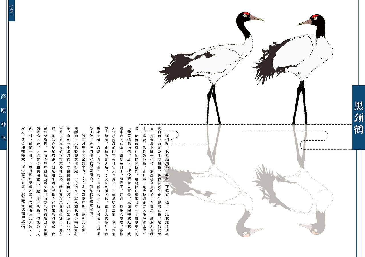 《假如我们会说话》70种中国珍贵野生动物书籍设计·二