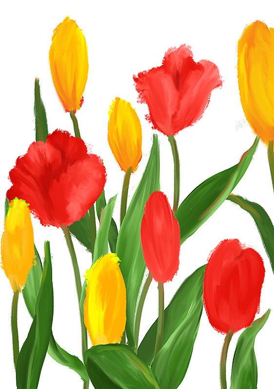 郁金香系列（图ZMjM4Mjk0OTg4） - 商业插画 - 站酷设计师梦圆爱画画原创素材 - 站酷ZCOOL