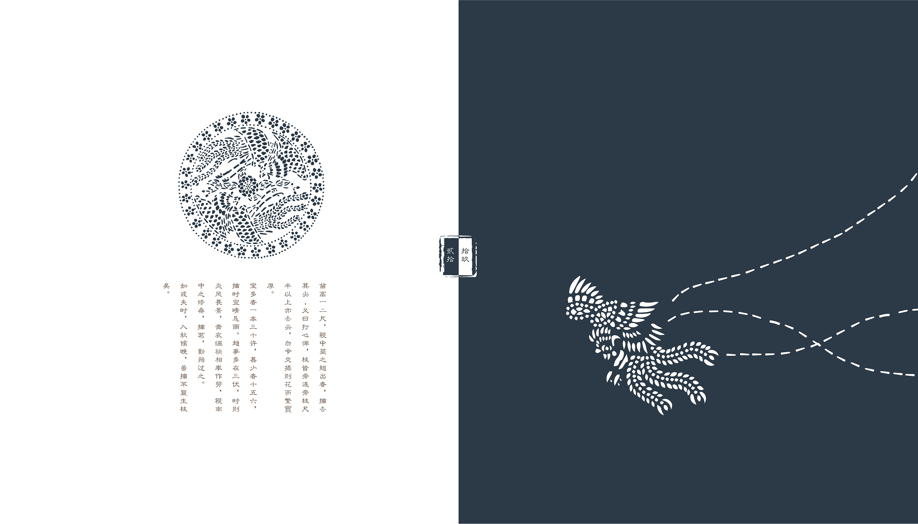 《蓝雅白韵》——关于"南通蓝印花布艺术"的系列书籍装帧设计