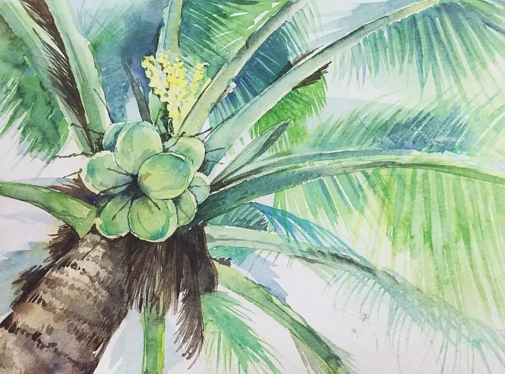 2016年水彩作品（图ZMTA2NjQ1NjMy） - 艺术插画 - 站酷设计师有柚子原创素材 - 站酷ZCOOL