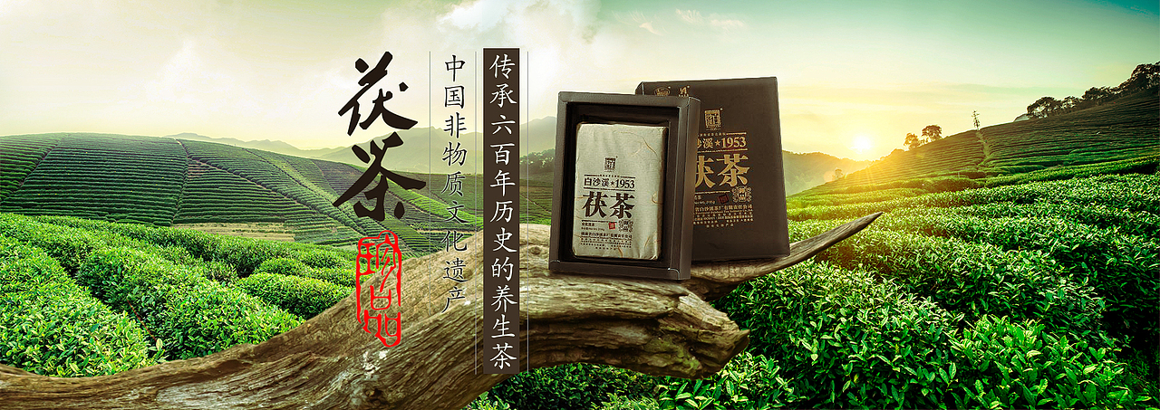 茶叶banner（图ZMTY2MTQ0NTEy） - 宣传物料 - 站酷设计师君安设计亚马逊原创素材 - 站酷ZCOOL
