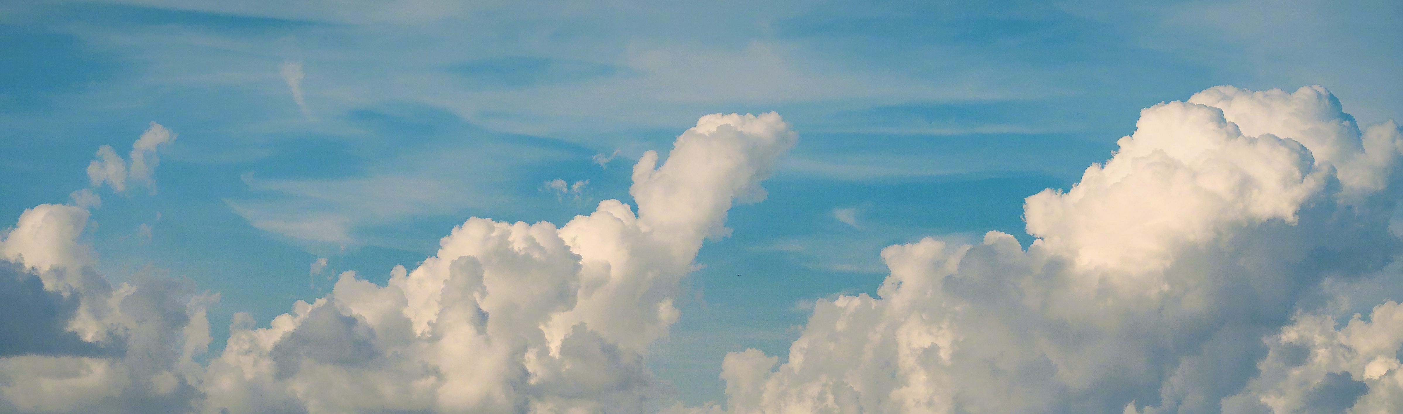 橙魚魚的個(gè)人主頁(yè)（封面預(yù)覽） - 主頁(yè)封面設(shè)置 - 站酷設(shè)計(jì)師橙魚魚原創(chuàng)素材 - 站酷ZCOOL