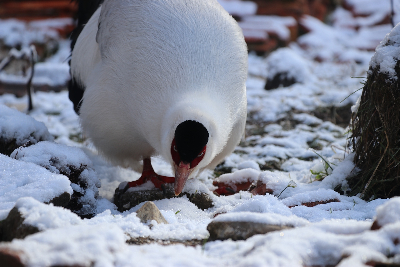 来自拉萨所从未见过的风景