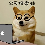偷能量的贼的头像