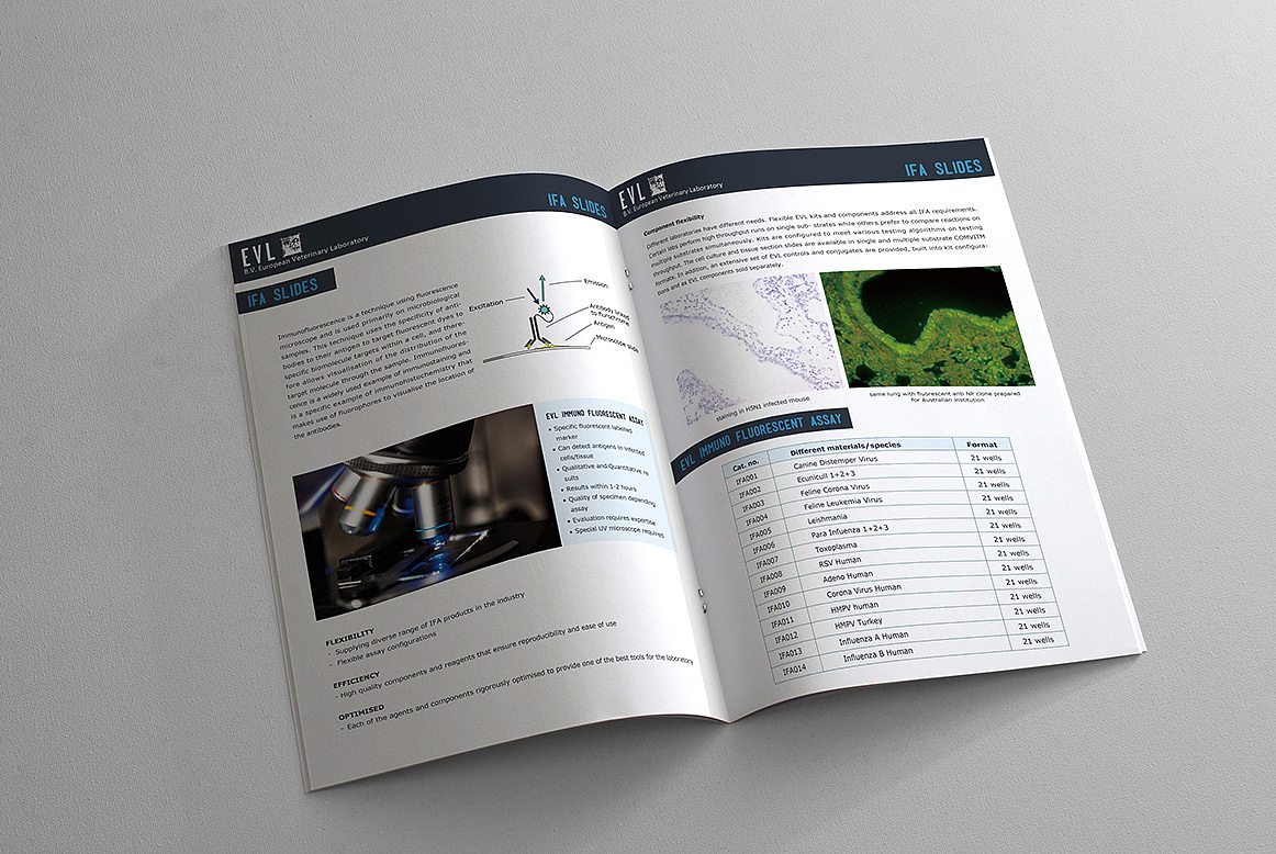 给欧洲某兽医药公司做的画册（图ZMjcyNjQzNDg=） - 书籍/画册 - 站酷设计师deardana原创素材 - 站酷ZCOOL