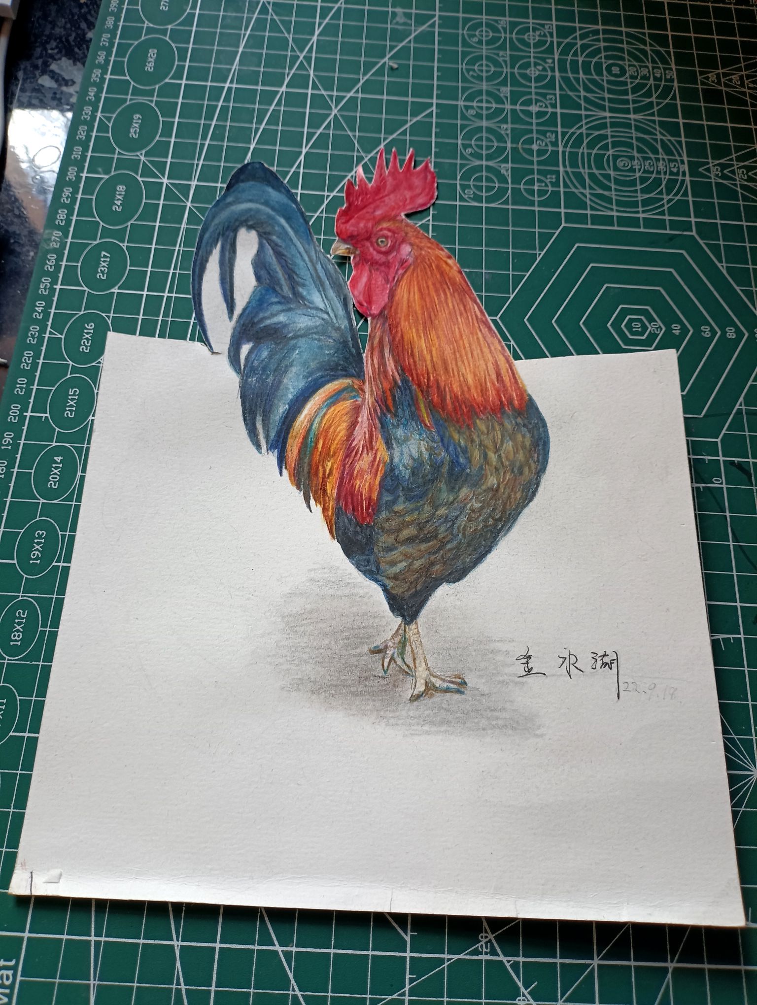 湖南大公鸡3d图图片