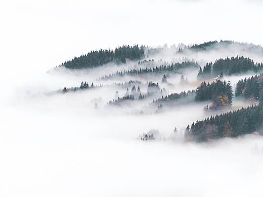 不染 登录/注册界面UI设计（个人主页-ZMzIzMTcyNjA=） - APP界面 - 站酷设计师溪时CT原创素材 - 站酷ZCOOL