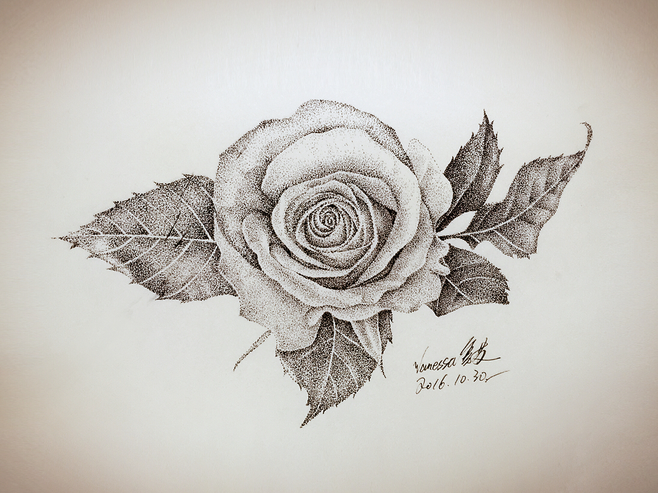 点绘《花卉》-带步骤