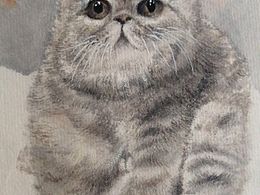 貓 工筆