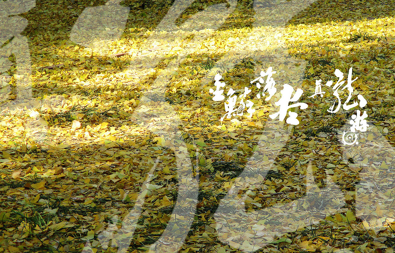 金鳞落尽真龙游 题金黄银杏叶