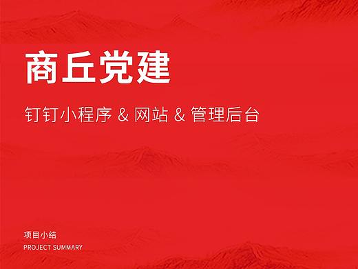 商丘党建项目小结