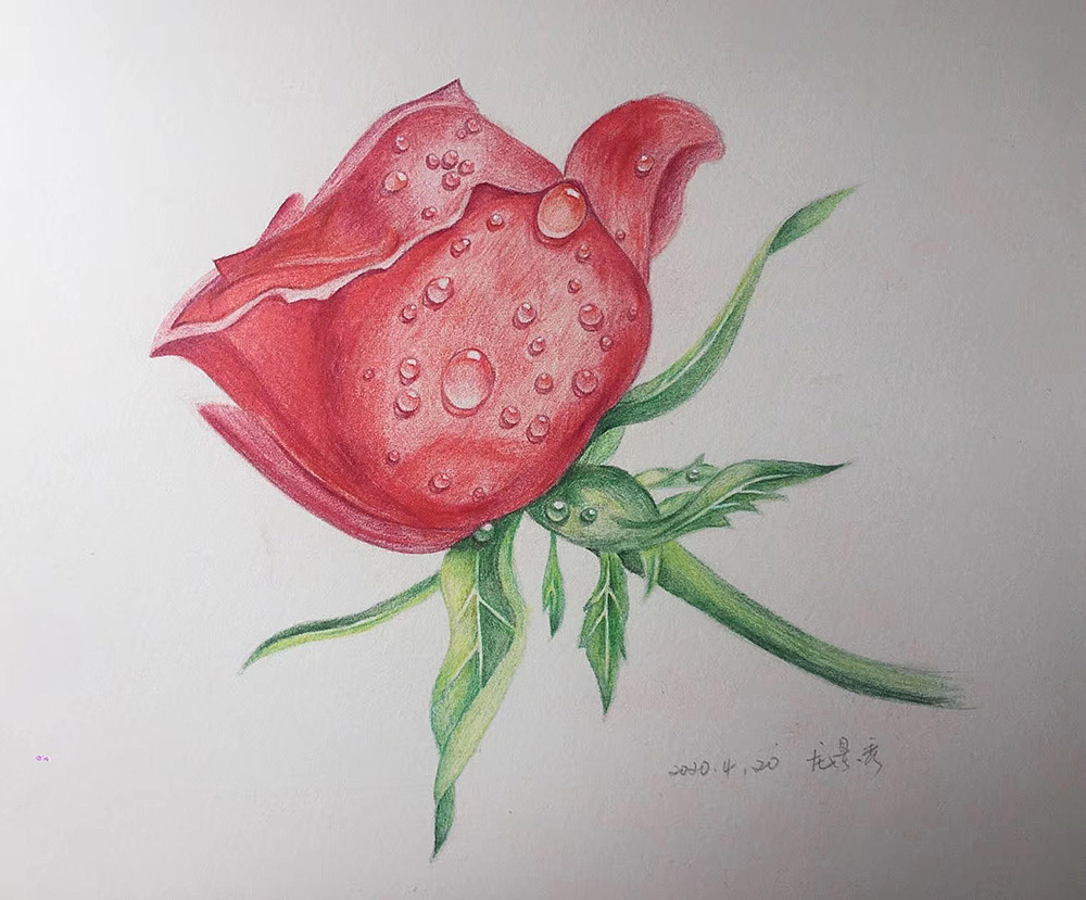 彩铅画|插画|绘本|danqian96 - 原创作品 - 站酷 (zcool)