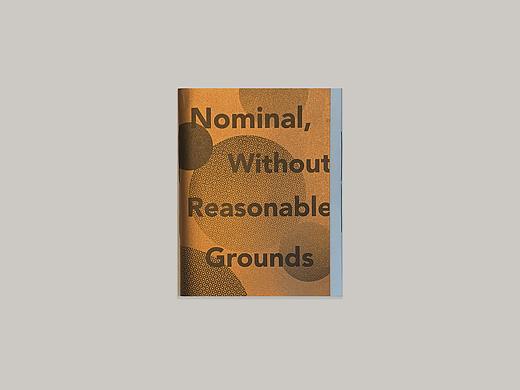 小组项目：Nominals, without reasonable grounds