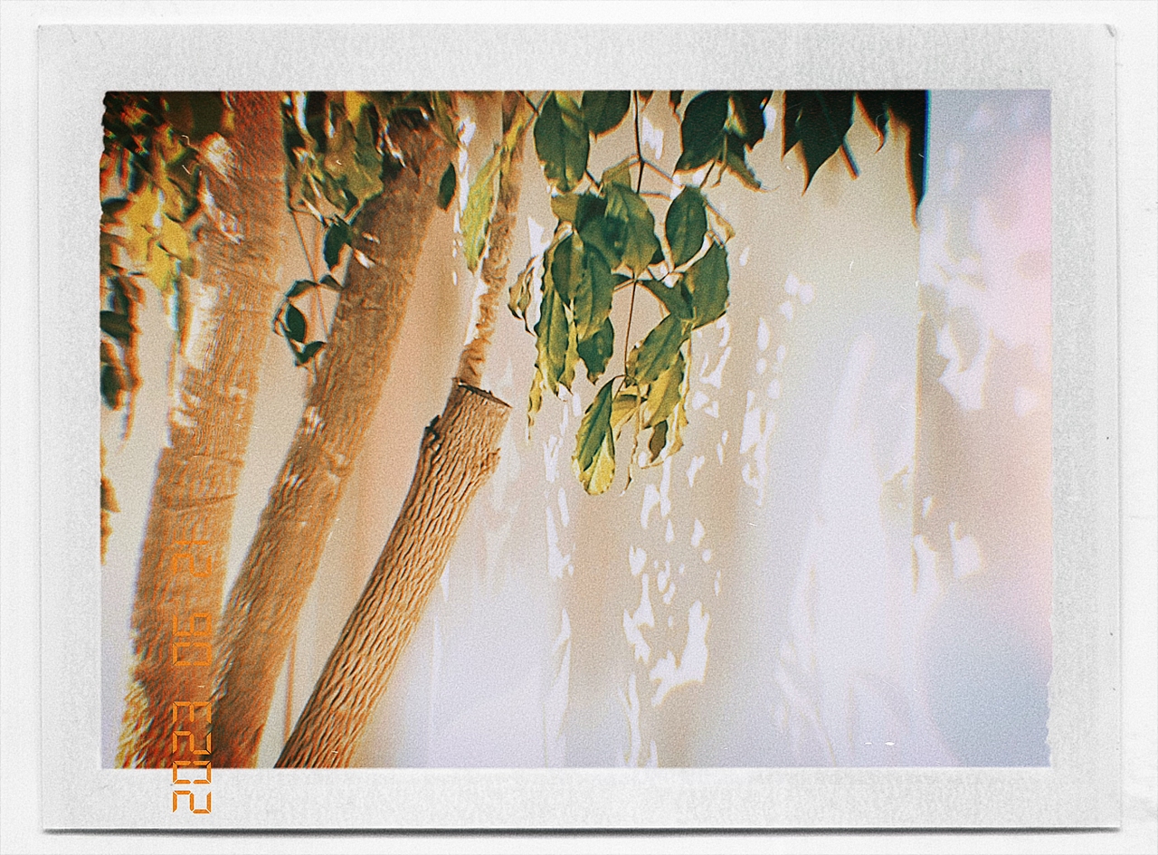 CCD的记忆（图ZMzUxMzY5MzQ0） - 风光摄影 - 站酷设计师OP泡泡果奶原创素材 - 站酷ZCOOL