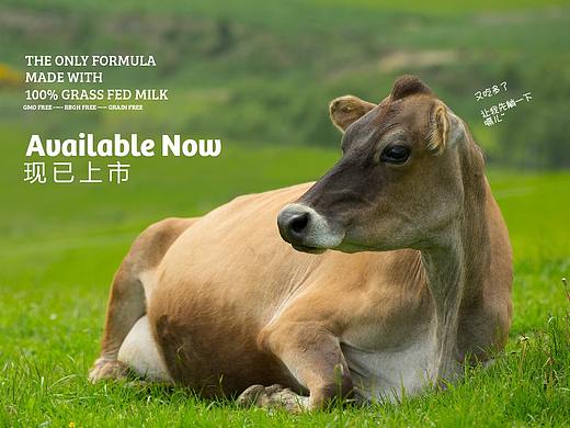 【Grass Fed】天猫旗舰店上线企划