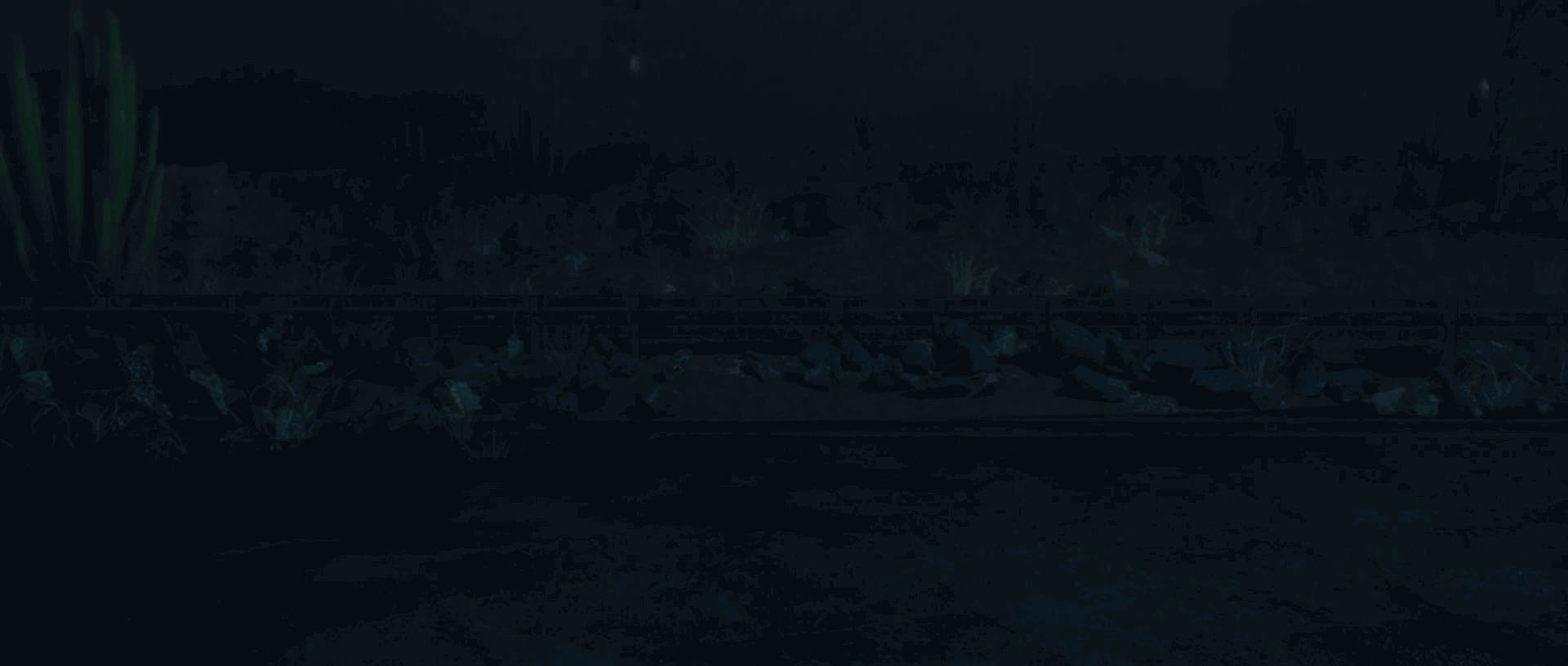 乔丹 QDRUNNING 飞影PB2.0