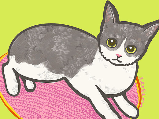 爱猫满满🐱（个人主页-ZNjU5OTc1OTI=） - 创作习作 - 站酷设计师CLFSH可乐鱼原创素材 - 站酷ZCOOL