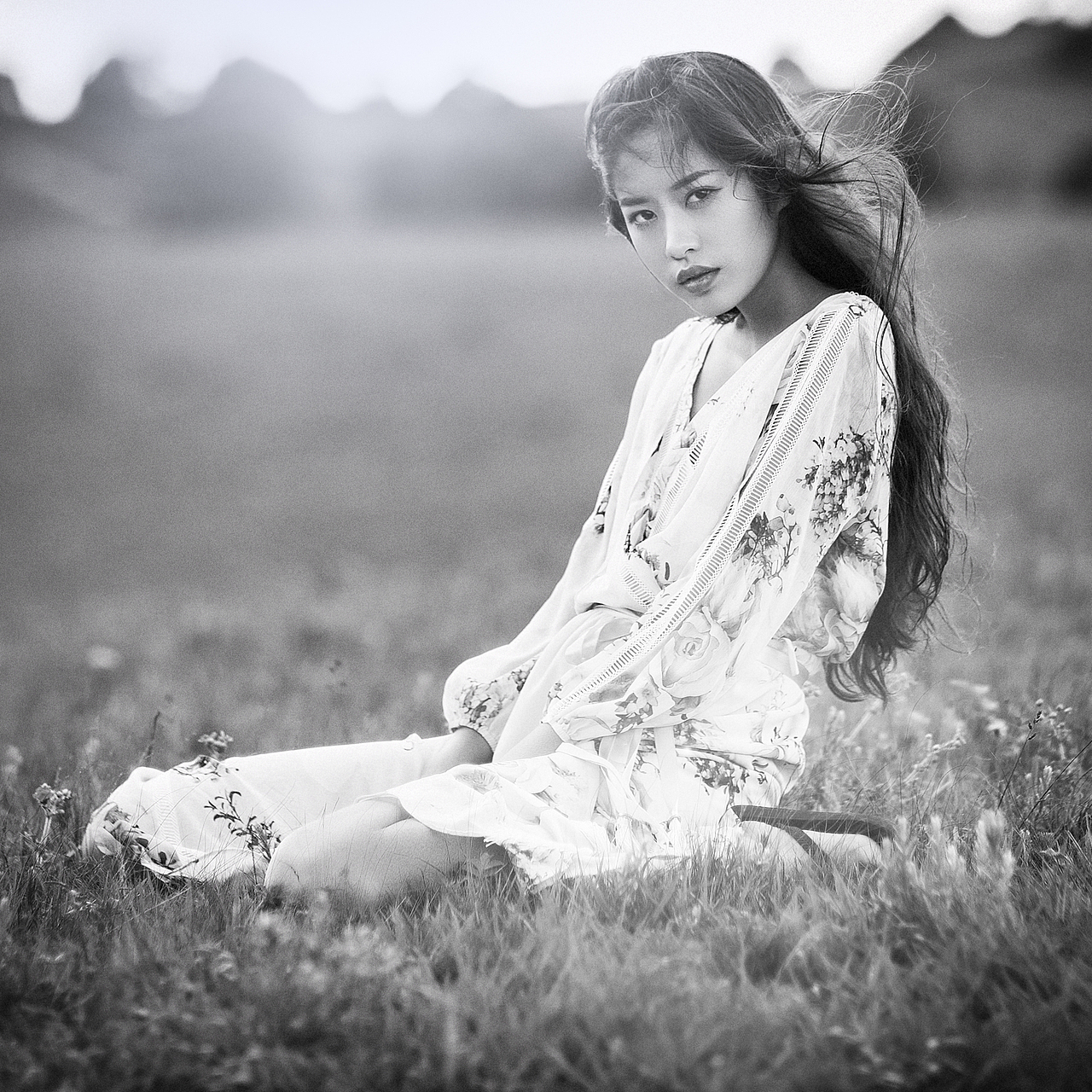 旋覆花盛开的山坡