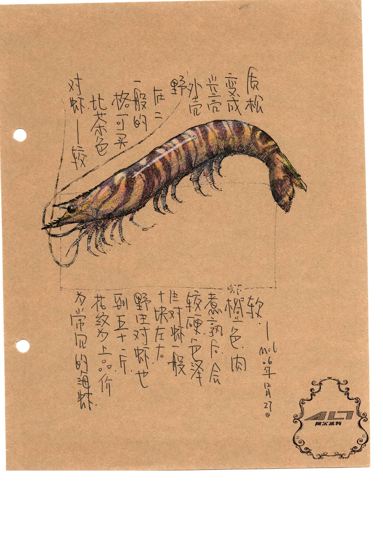 这个关于海鲜的插画手稿(一)