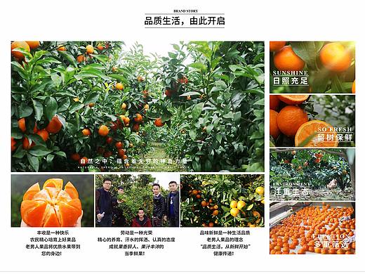 老男人果品沃柑水果工艺