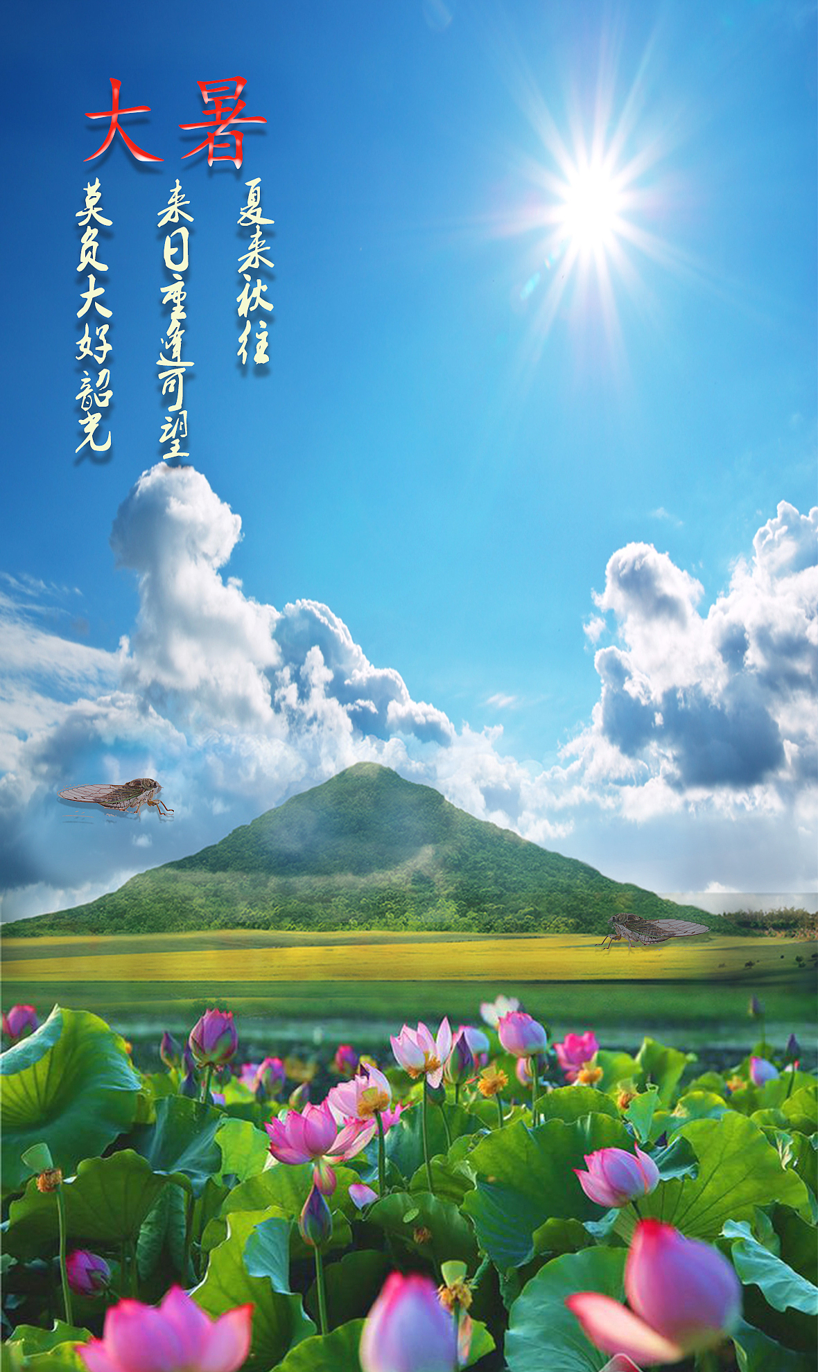 大暑节气（图ZMjYzNTg0NzQw） - 图案 - 站酷设计师Z67949511原创素材 - 站酷ZCOOL